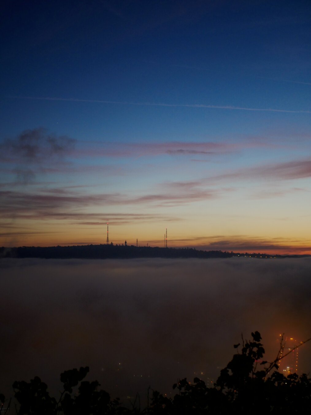 Foggy evening in Würzburg, Germany