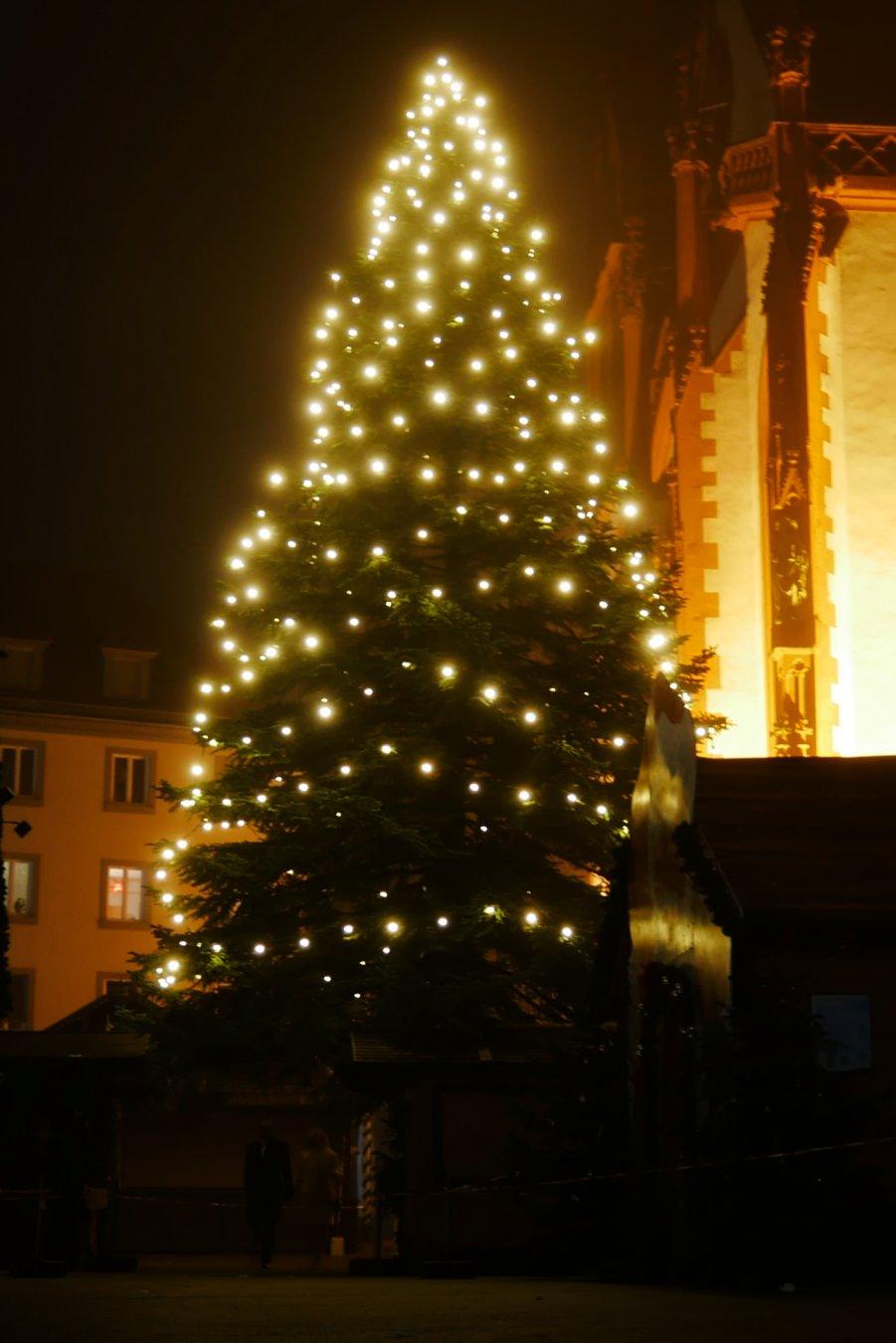 Christmas Tree at Christmas market in Würzburg, Germany